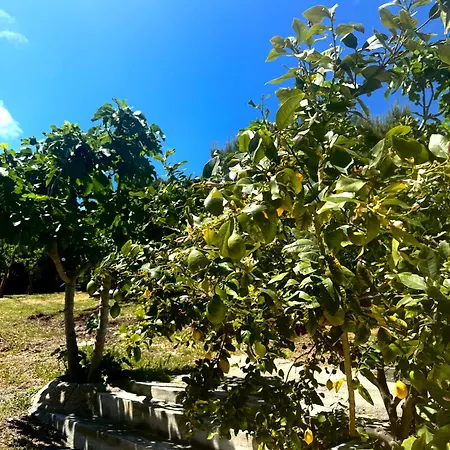 Zaiana Casa de Férias Peschici