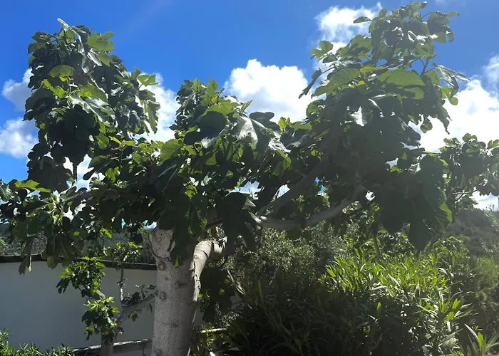 Ferienhaus Zaiana Peschici